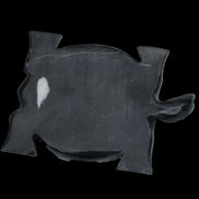 Black Jade hand-carved Turtle platter 157*112*20mm 489g in sunlight - Rocks and Things Store