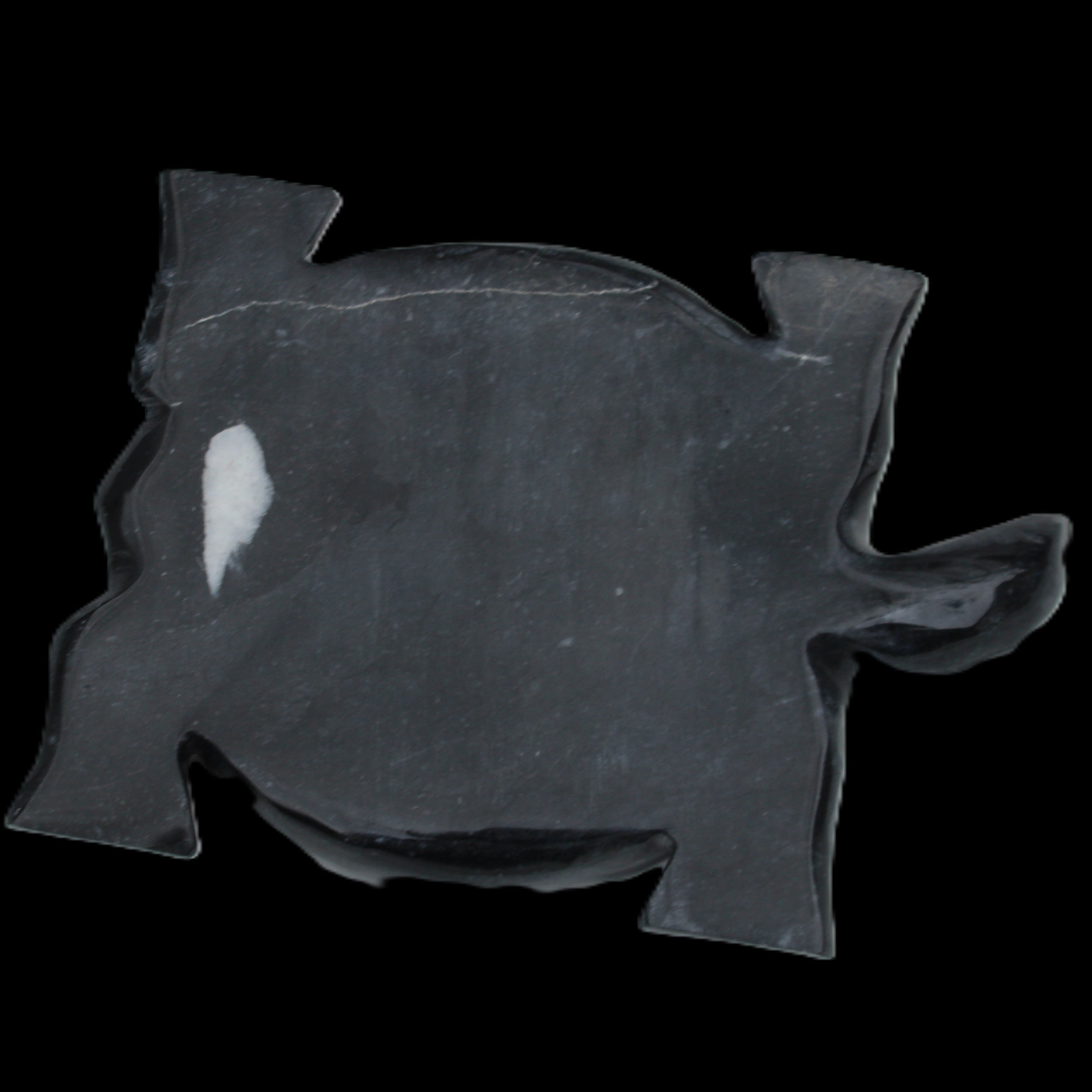 Black Jade hand-carved Turtle platter 157*112*20mm 489g in sunlight - Rocks and Things Store