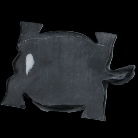Black Jade hand-carved Turtle platter 157*112*20mm 489g in sunlight - Rocks and Things Store