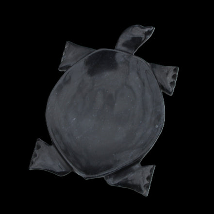 Black Jade hand-carved Turtle platter 157*112*20mm 489g in sunlight - Rocks and Things Store