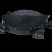 Black Jade hand-carved Turtle platter 157*112*20mm 489g in sunlight - Rocks and Things Store