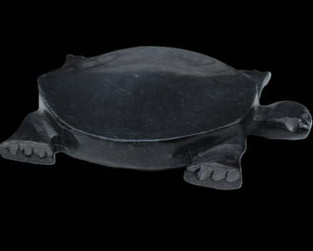 Black Jade hand-carved Turtle platter 157*112*20mm 489g in sunlight - Rocks and Things Store