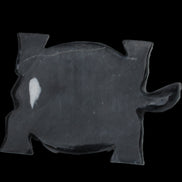 Black Jade hand-carved Turtle platter 157*112*20mm 489g in sunlight - Rocks and Things Store