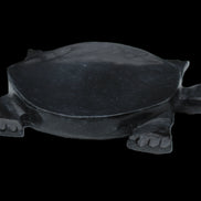 Black Jade hand-carved Turtle platter 157*112*20mm 489g in sunlight - Rocks and Things Store