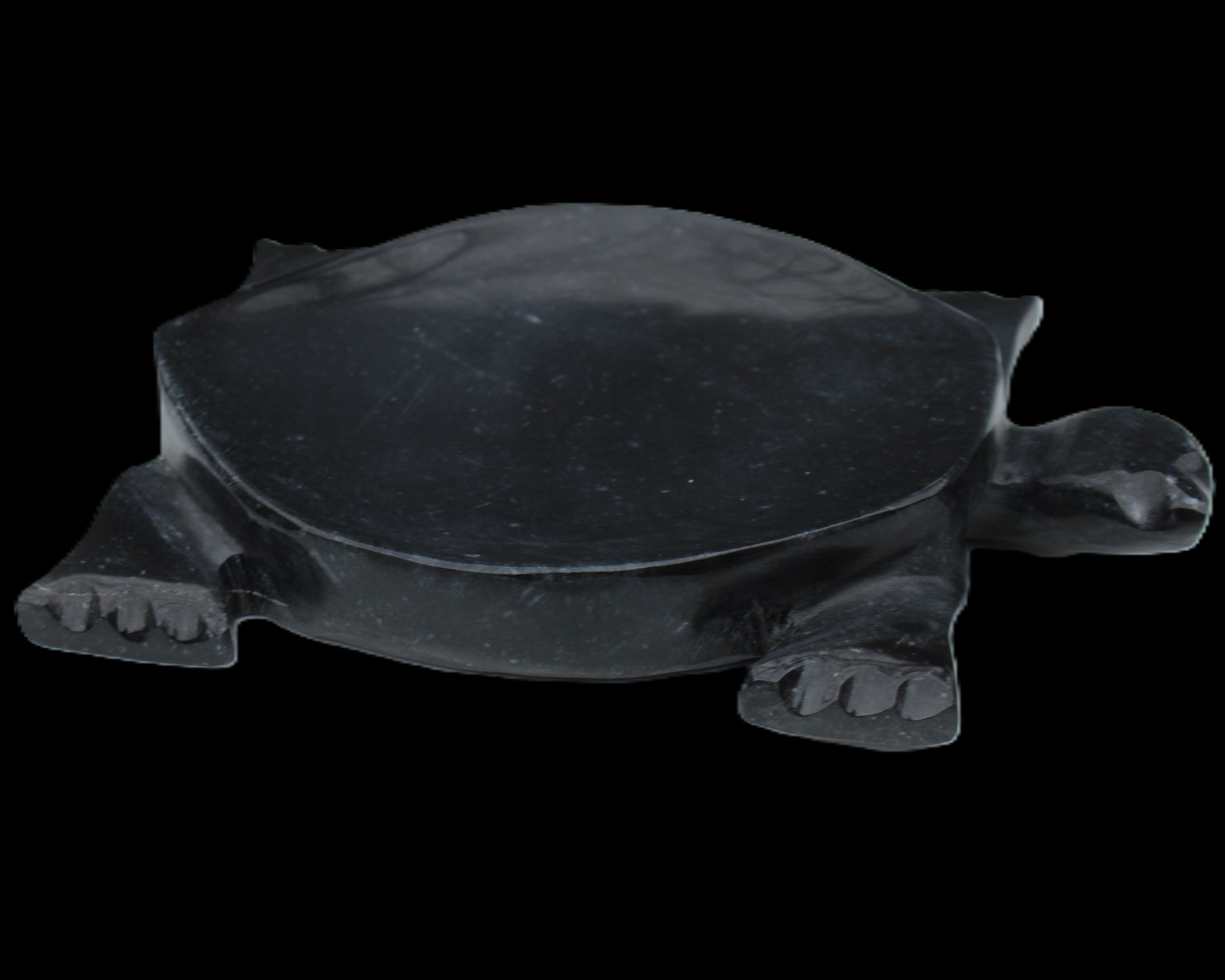 Black Jade hand-carved Turtle platter 157*112*20mm 489g in sunlight - Rocks and Things Store