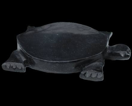 Black Jade hand-carved Turtle platter 157*112*20mm 489g in sunlight - Rocks and Things Store