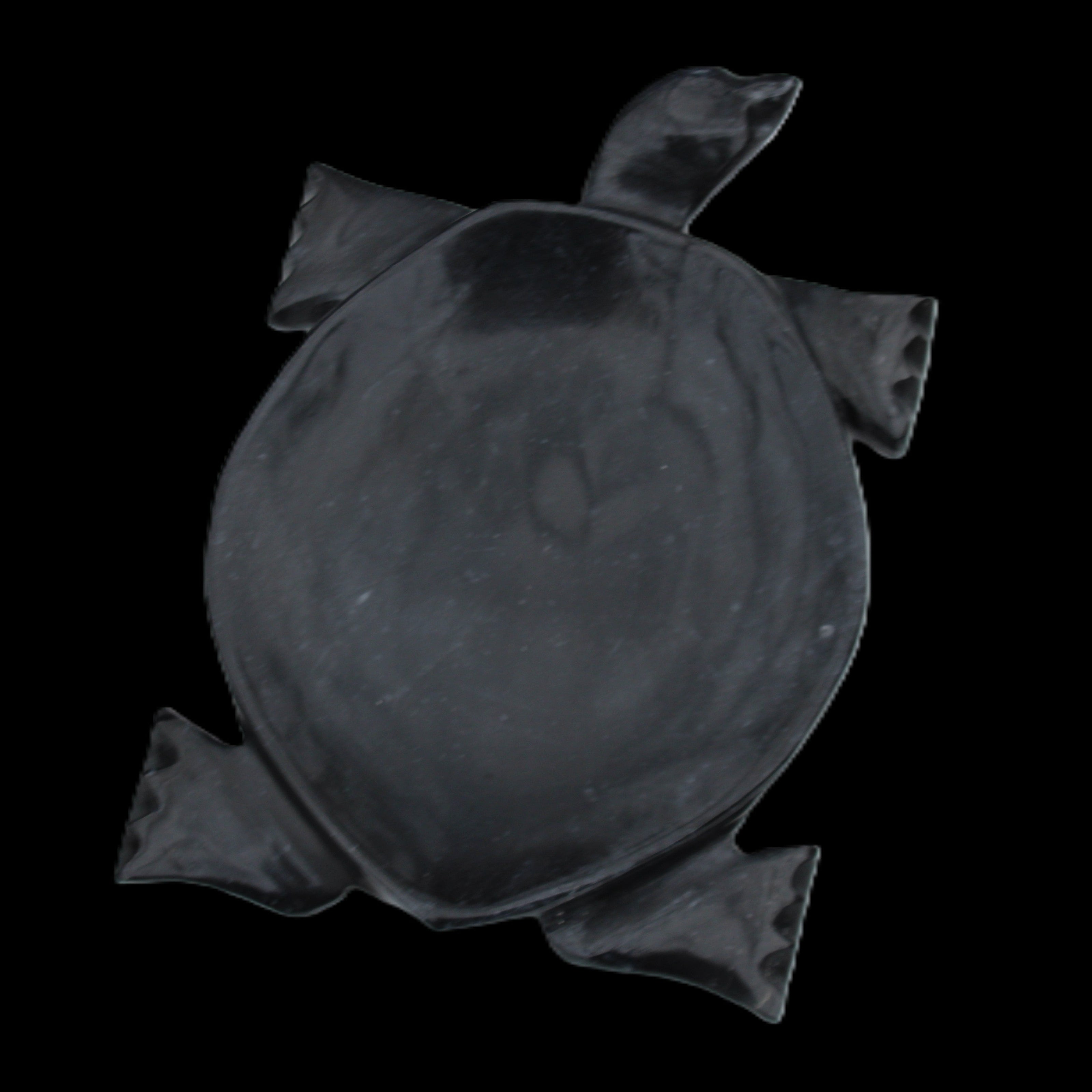 Black Jade hand-carved Turtle platter 157*112*20mm 489g in sunlight - Rocks and Things Store
