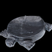 Black Jade hand-carved Turtle platter 156*118*21mm 575g in sunlight - Rocks and Things Store