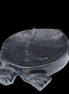Black Jade hand-carved Turtle platter 156*118*21mm 575g in sunlight - Rocks and Things Store