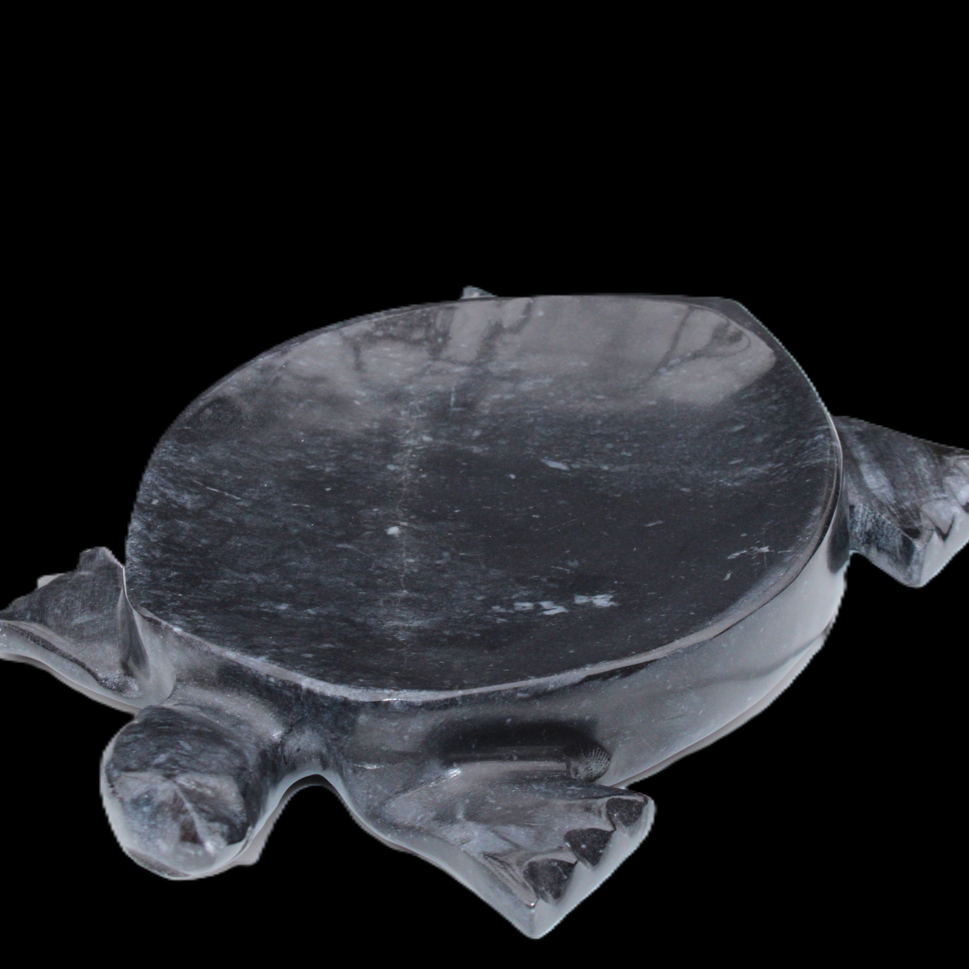 Black Jade hand-carved Turtle platter 156*118*21mm 575g in sunlight - Rocks and Things Store