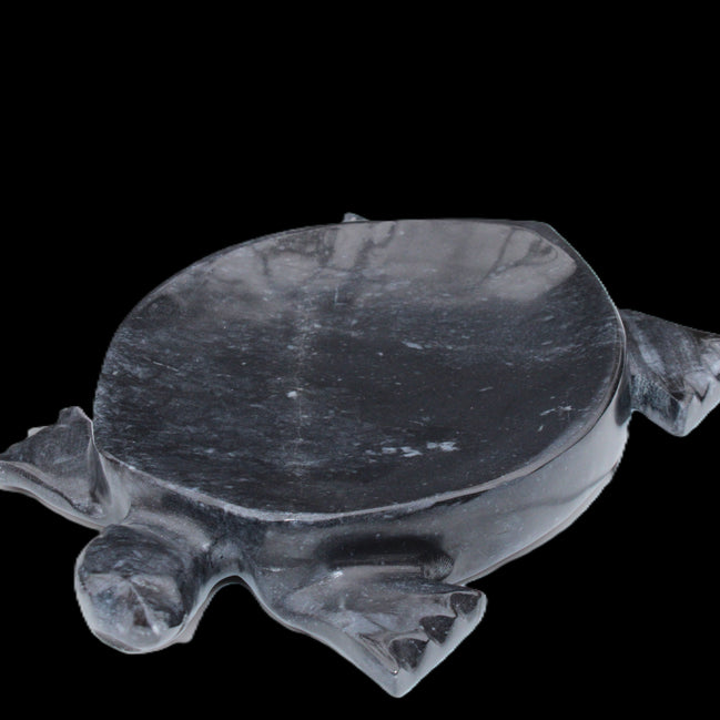 Black Jade hand-carved Turtle platter 156*118*21mm 575g in sunlight - Rocks and Things Store