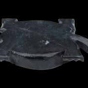 Black Jade hand-carved Turtle platter 156*118*21mm 575g in sunlight - Rocks and Things Store