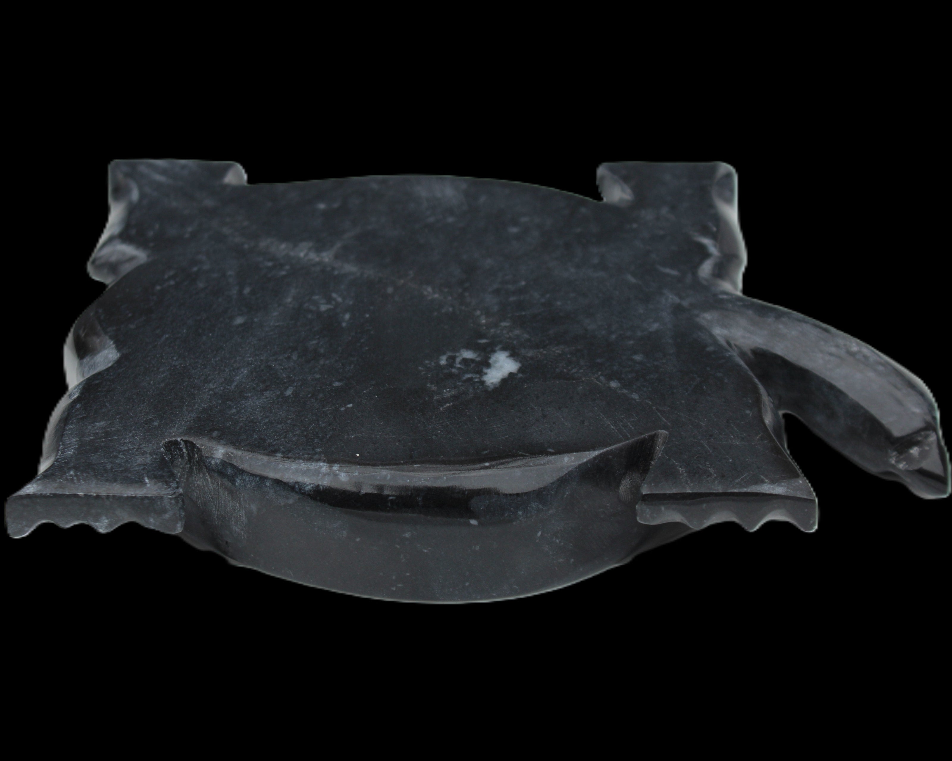 Black Jade hand-carved Turtle platter 156*118*21mm 575g in sunlight - Rocks and Things Store