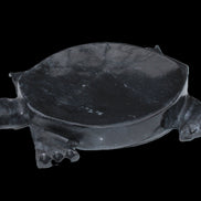 Black Jade hand-carved Turtle platter 156*118*21mm 575g in sunlight - Rocks and Things Store