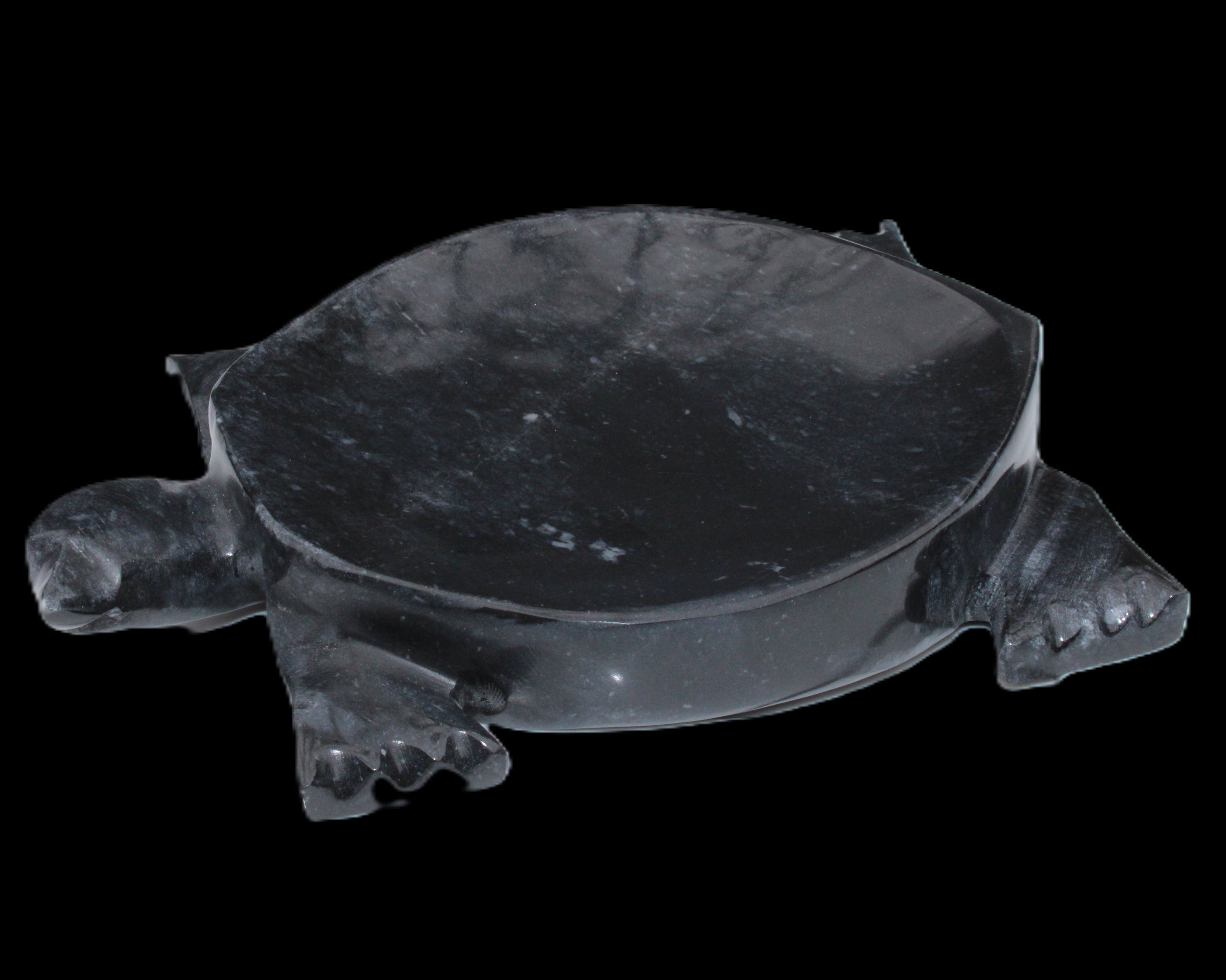 Black Jade hand-carved Turtle platter 156*118*21mm 575g in sunlight - Rocks and Things Store