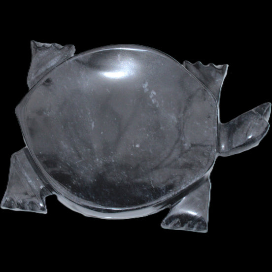 Black Jade hand-carved Turtle platter 156*118*21mm 575g in sunlight - Rocks and Things Store