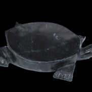 Black Jade hand-carved Turtle platter 156*118*21mm 575g in sunlight - Rocks and Things Store