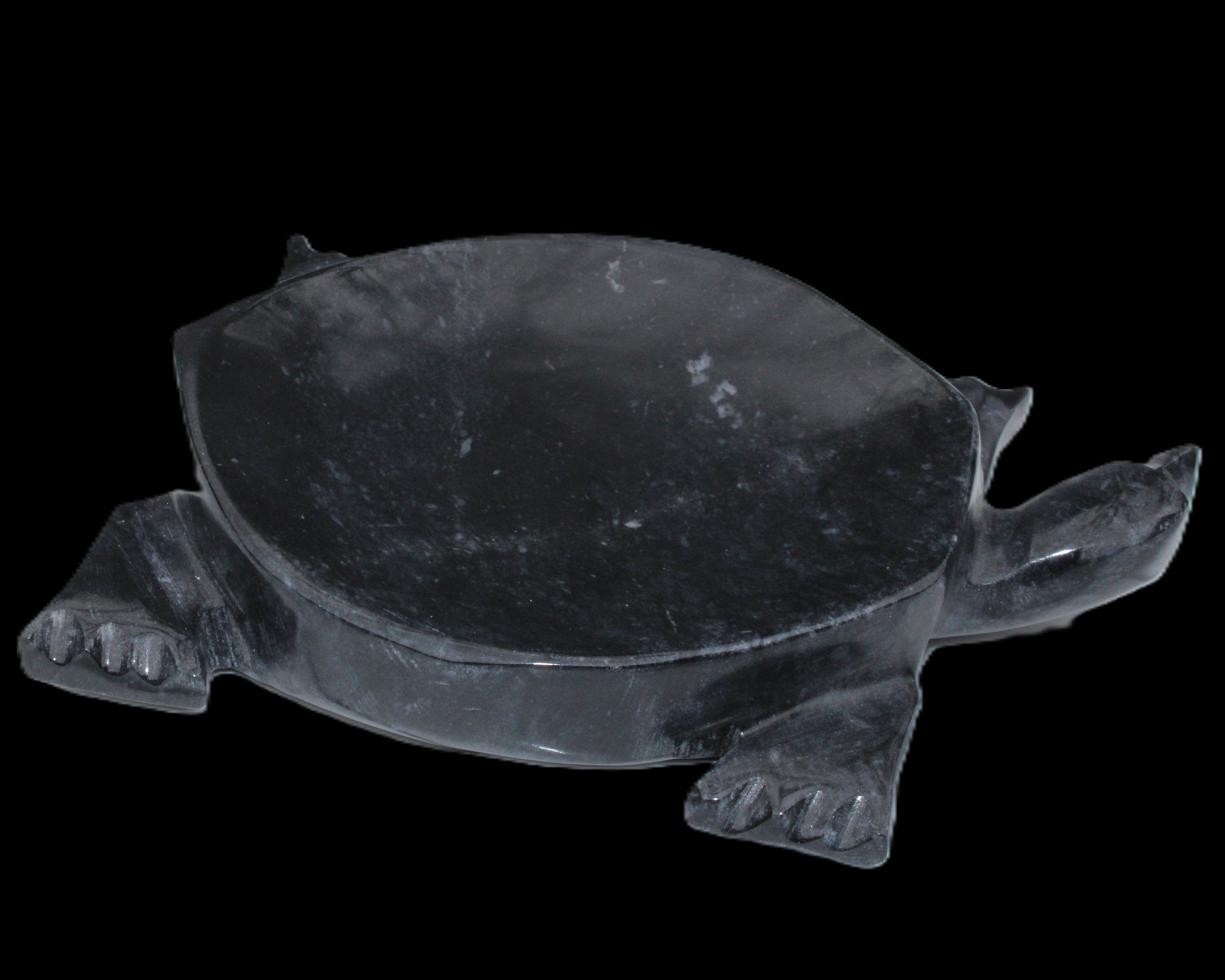 Black Jade hand-carved Turtle platter 156*118*21mm 575g in sunlight - Rocks and Things Store