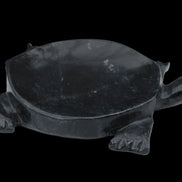 Black Jade hand-carved Turtle platter 156*118*21mm 575g in sunlight - Rocks and Things Store