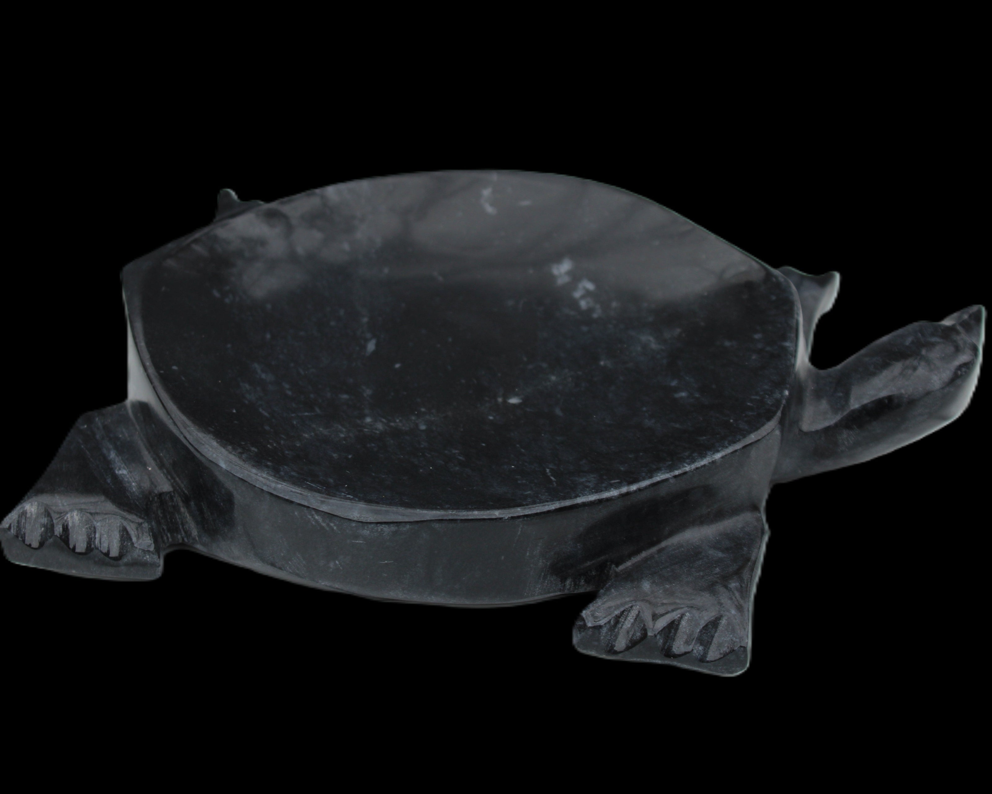 Black Jade hand-carved Turtle platter 156*118*21mm 575g in sunlight - Rocks and Things Store
