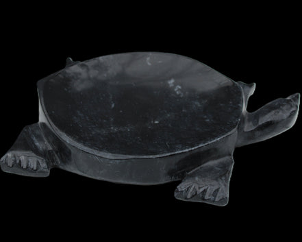 Black Jade hand-carved Turtle platter 156*118*21mm 575g in sunlight - Rocks and Things Store