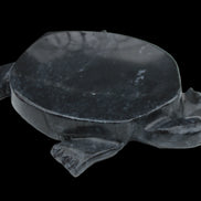 Black Jade hand-carved Turtle platter 156*118*21mm 575g in sunlight - Rocks and Things Store