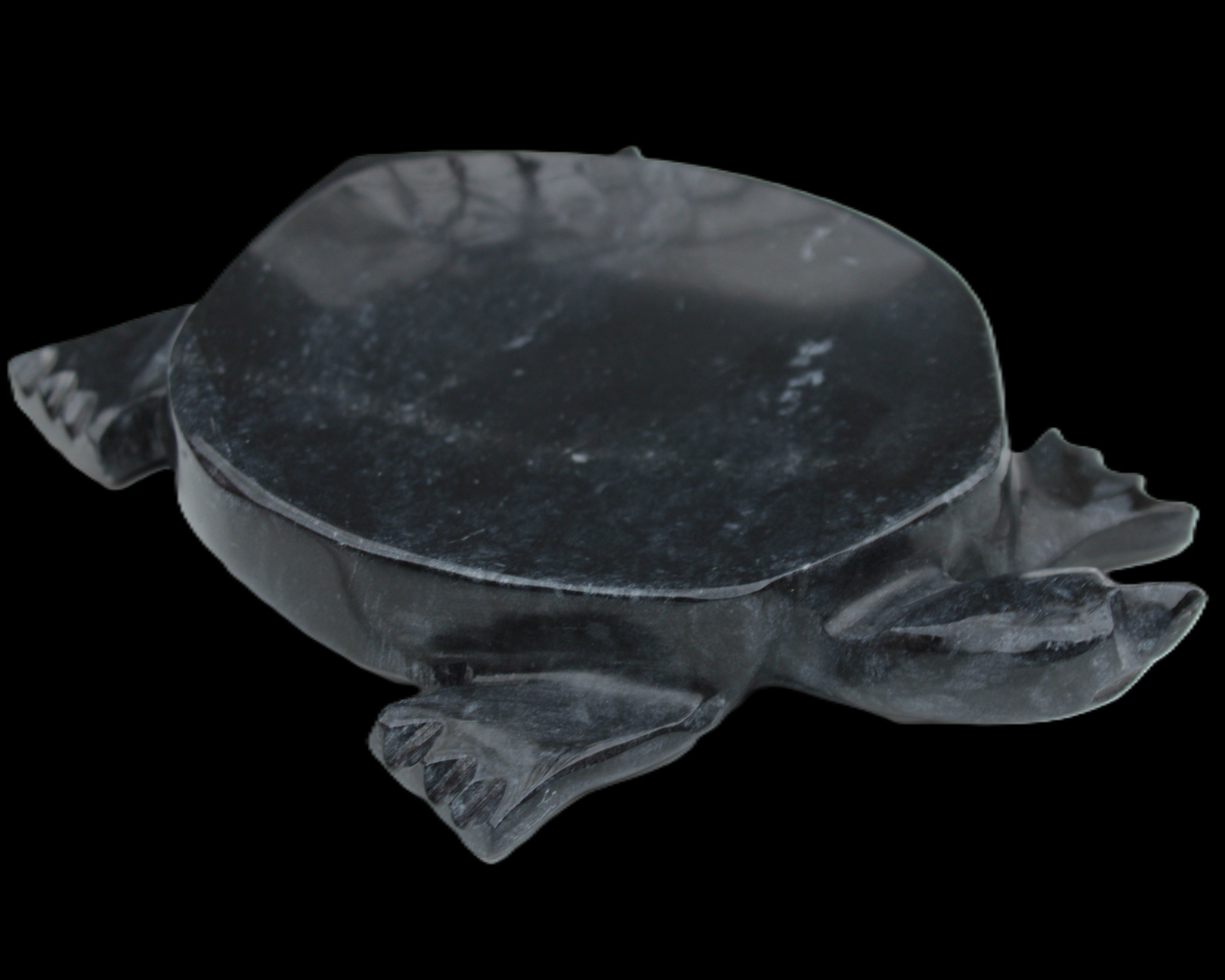 Black Jade hand-carved Turtle platter 156*118*21mm 575g in sunlight - Rocks and Things Store