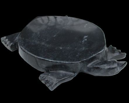 Black Jade hand-carved Turtle platter 156*118*21mm 575g in sunlight - Rocks and Things Store