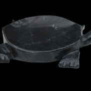 Black Jade hand-carved Turtle platter 156*118*21mm 575g in sunlight - Rocks and Things Store