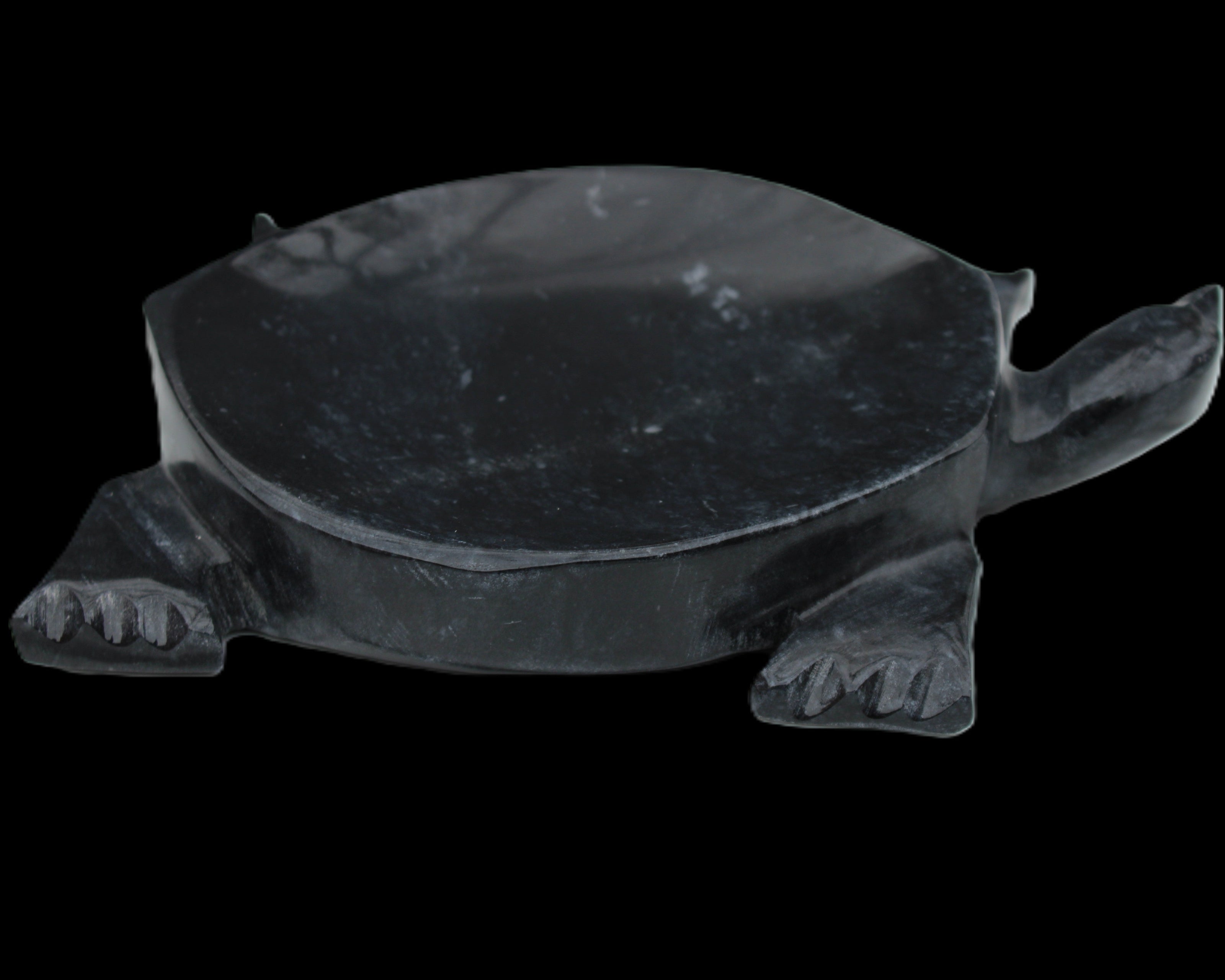 Black Jade hand-carved Turtle platter 156*118*21mm 575g in sunlight - Rocks and Things Store