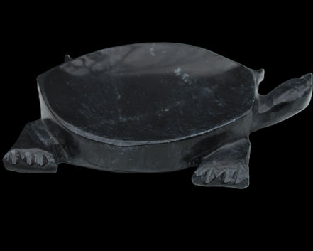 Black Jade hand-carved Turtle platter 156*118*21mm 575g in sunlight - Rocks and Things Store