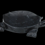 Black Jade hand-carved Turtle platter 156*118*21mm 575g in sunlight - Rocks and Things Store