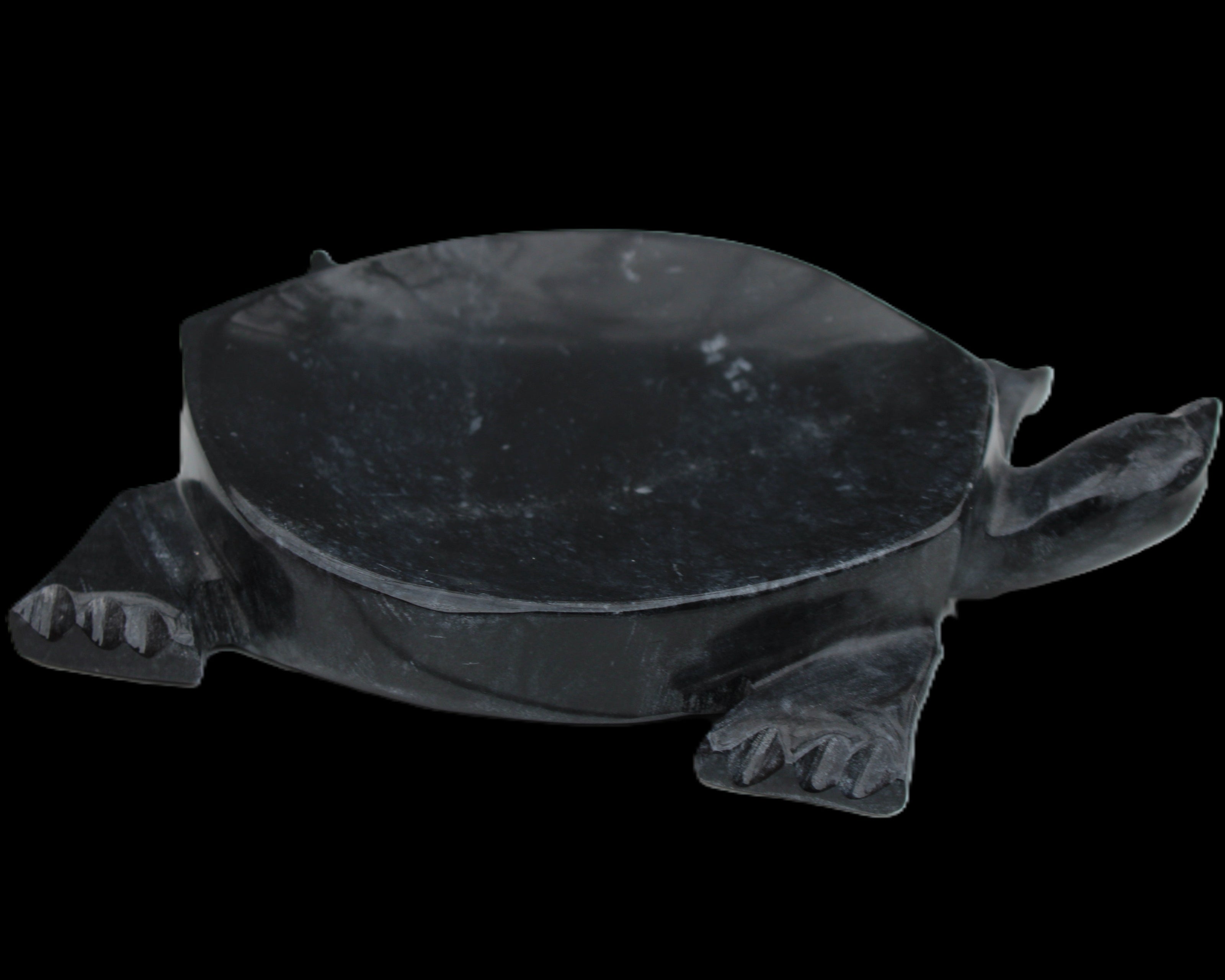 Black Jade hand-carved Turtle platter 156*118*21mm 575g in sunlight - Rocks and Things Store