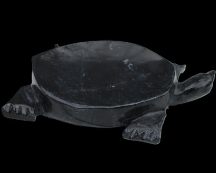 Black Jade hand-carved Turtle platter 156*118*21mm 575g in sunlight - Rocks and Things Store
