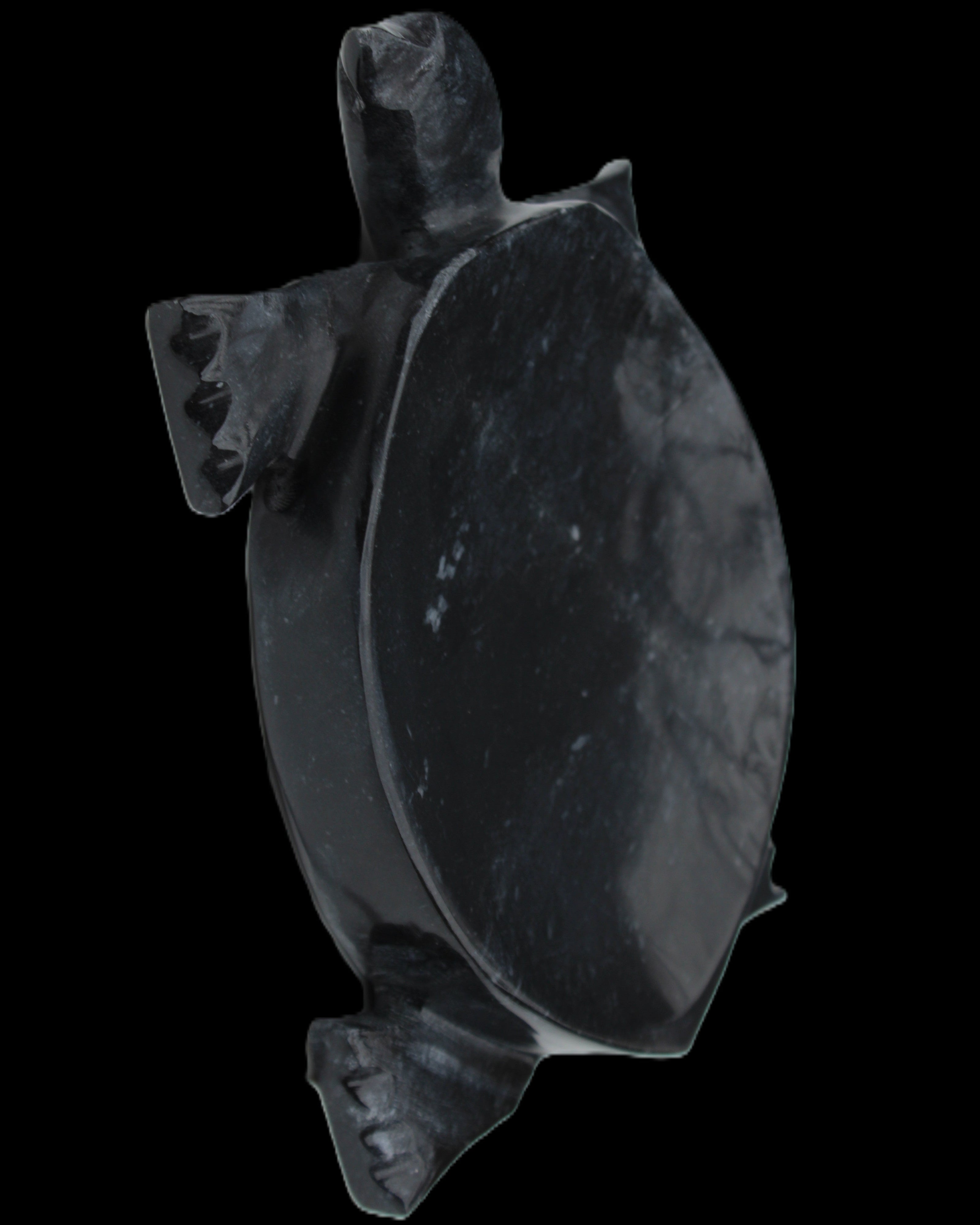 Black Jade hand-carved Turtle platter 156*118*21mm 575g in sunlight - Rocks and Things Store