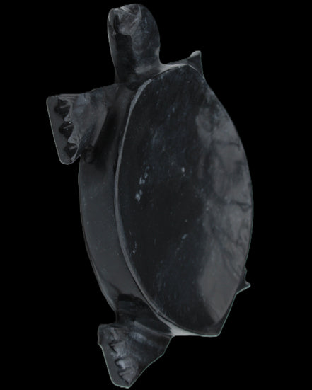 Black Jade hand-carved Turtle platter 156*118*21mm 575g in sunlight - Rocks and Things Store