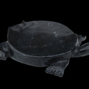 Black Jade hand-carved Turtle platter 156*118*21mm 575g in sunlight - Rocks and Things Store