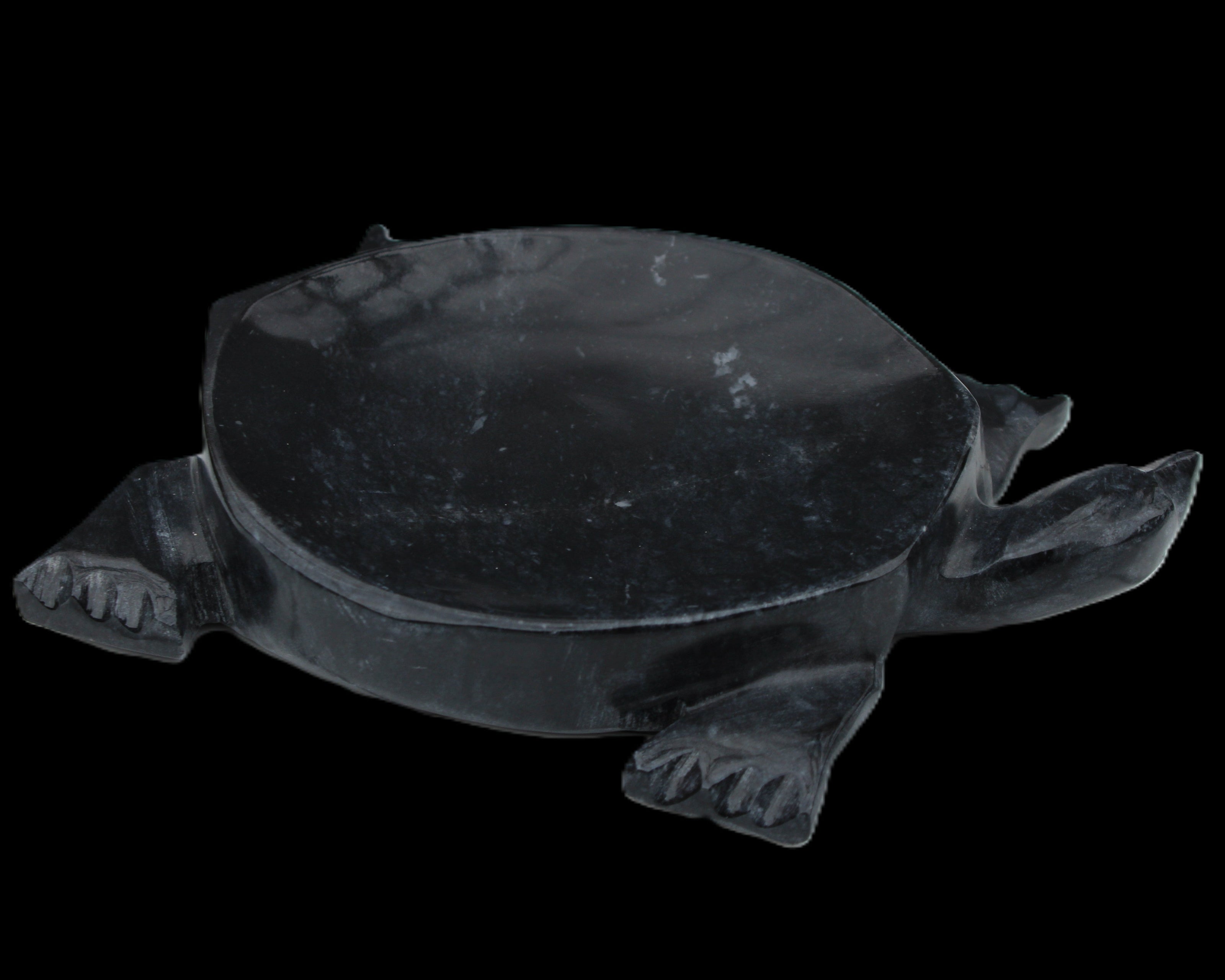 Black Jade hand-carved Turtle platter 156*118*21mm 575g in sunlight - Rocks and Things Store