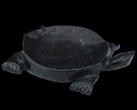 Black Jade hand-carved Turtle platter 156*118*21mm 575g in sunlight - Rocks and Things Store
