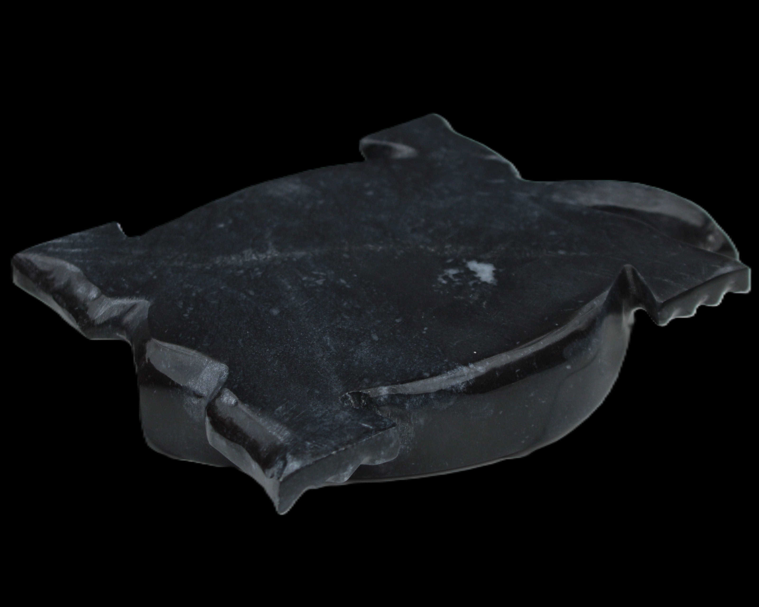 Black Jade hand-carved Turtle platter 156*118*21mm 575g in sunlight - Rocks and Things Store