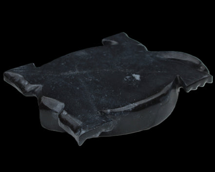 Black Jade hand-carved Turtle platter 156*118*21mm 575g in sunlight - Rocks and Things Store