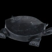 Black Jade hand-carved Turtle platter 156*118*21mm 575g in sunlight - Rocks and Things Store