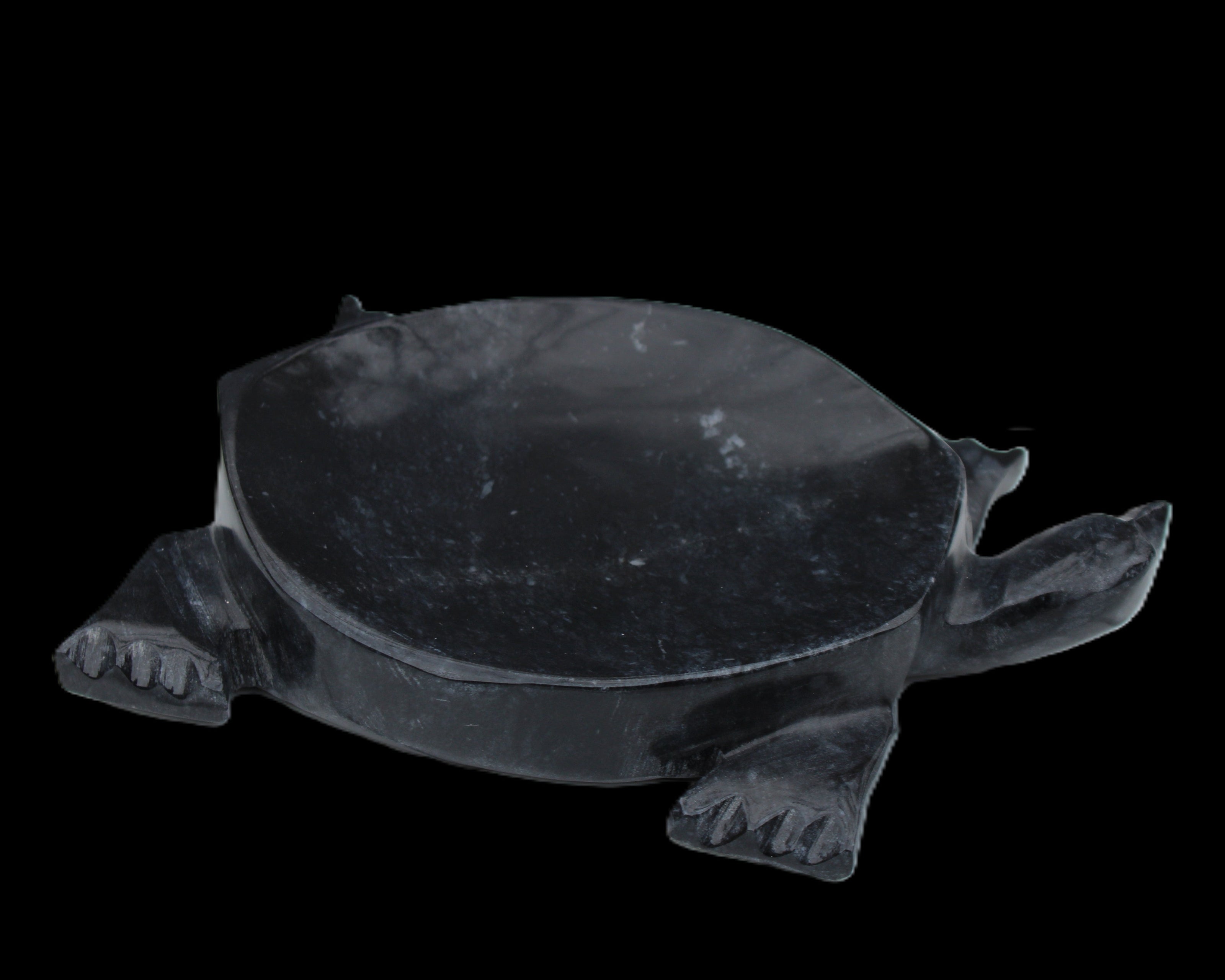 Black Jade hand-carved Turtle platter 156*118*21mm 575g in sunlight - Rocks and Things Store