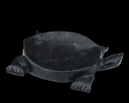 Black Jade hand-carved Turtle platter 156*118*21mm 575g in sunlight - Rocks and Things Store
