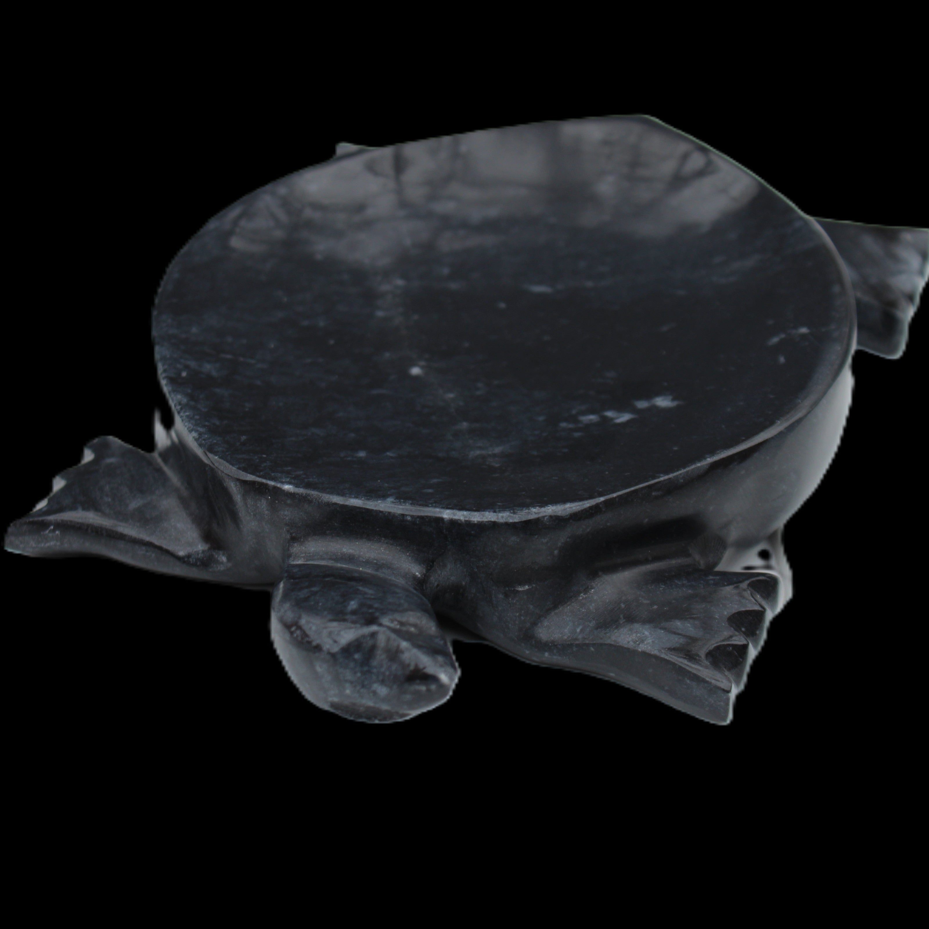 Black Jade hand-carved Turtle platter 156*118*21mm 575g in sunlight - Rocks and Things Store