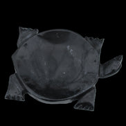 Black Jade hand-carved Turtle platter 156*118*21mm 575g in sunlight - Rocks and Things Store