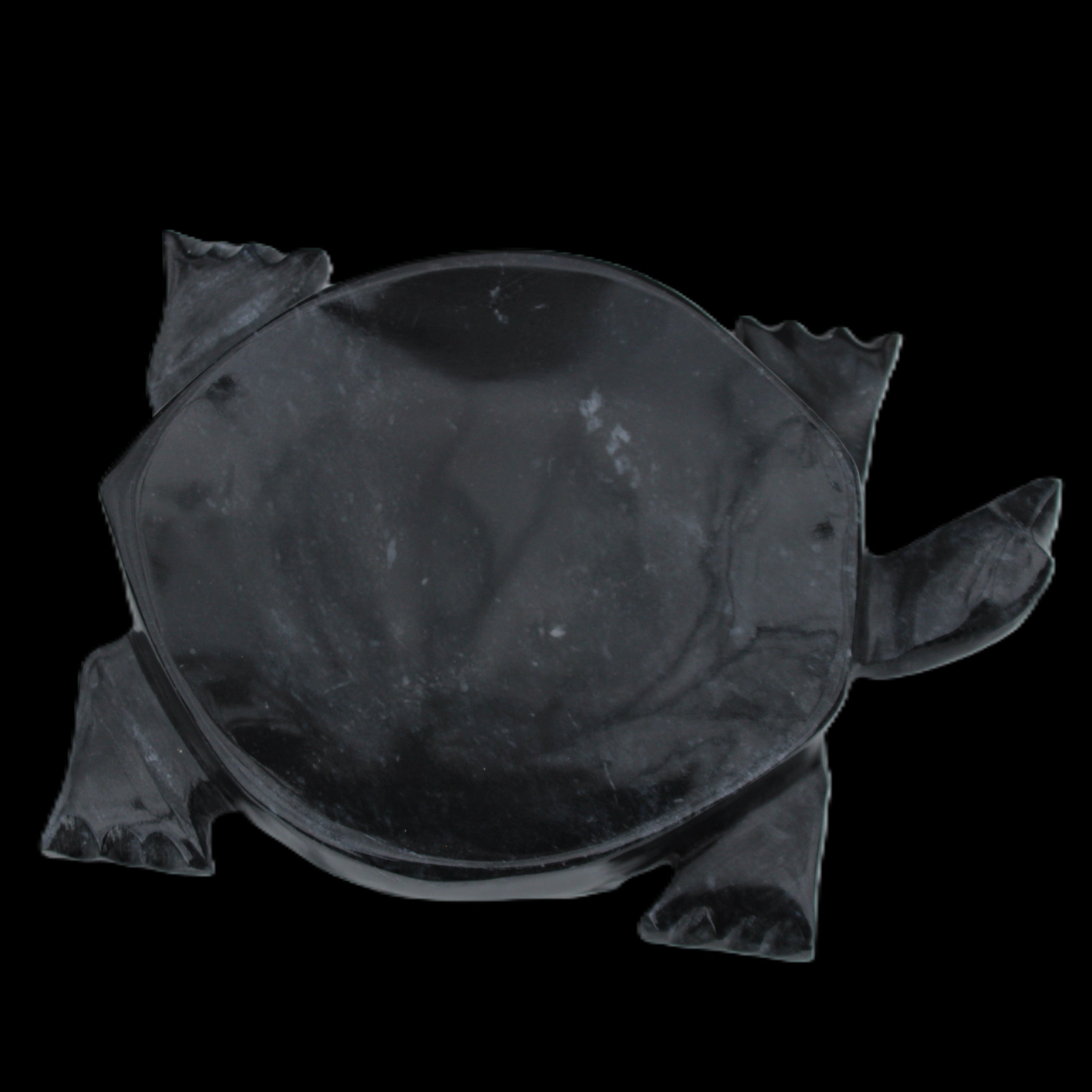Black Jade hand-carved Turtle platter 156*118*21mm 575g in sunlight - Rocks and Things Store