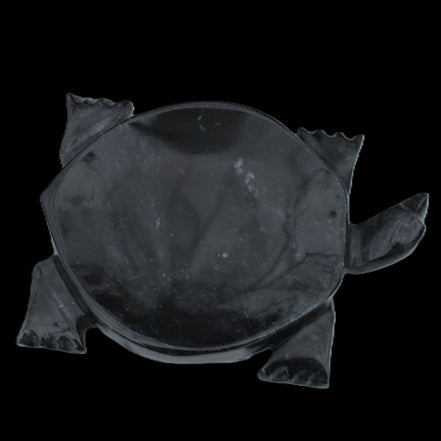 Black Jade hand-carved Turtle platter 156*118*21mm 575g in sunlight - Rocks and Things Store