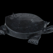 Black Jade hand-carved Turtle platter 156*118*21mm 575g in sunlight - Rocks and Things Store