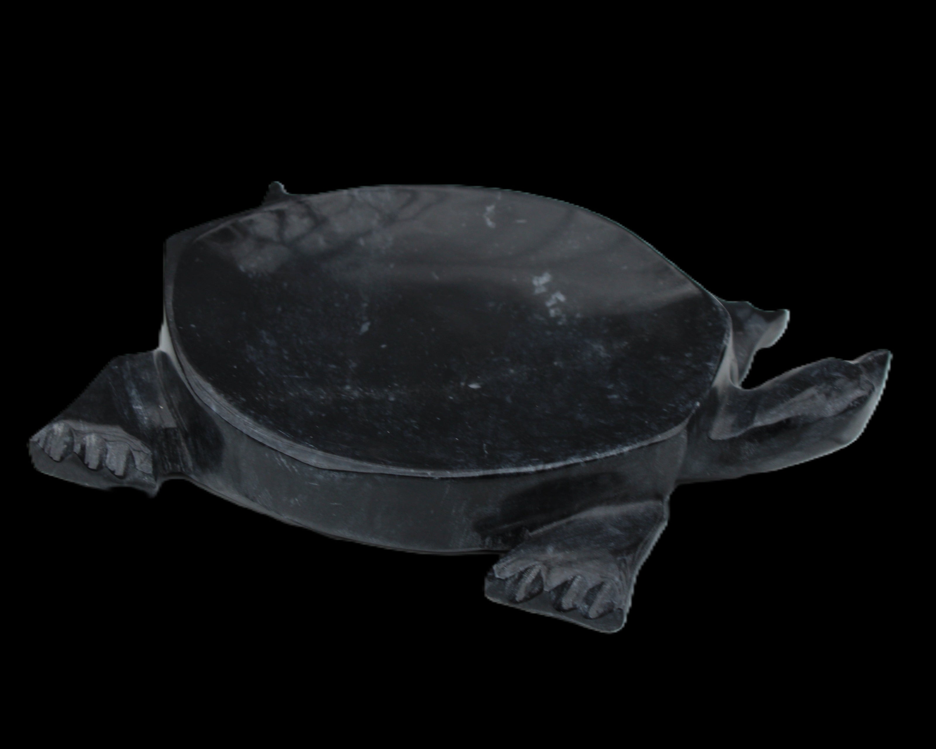 Black Jade hand-carved Turtle platter 156*118*21mm 575g in sunlight - Rocks and Things Store